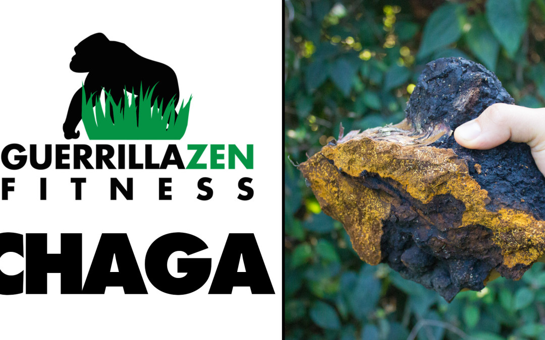 Benefits of Chaga & How to Make Tea With It
