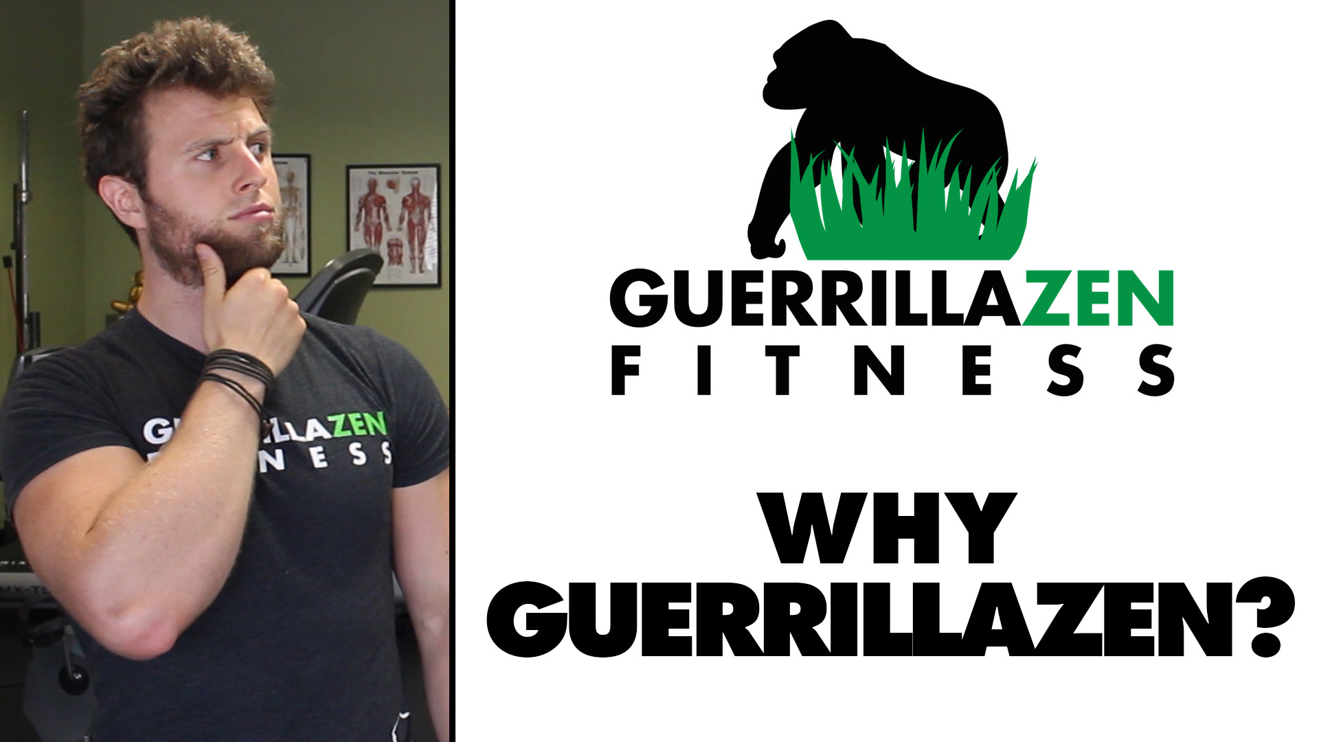 Why Did I Name My Company GuerrillaZen Fitness?