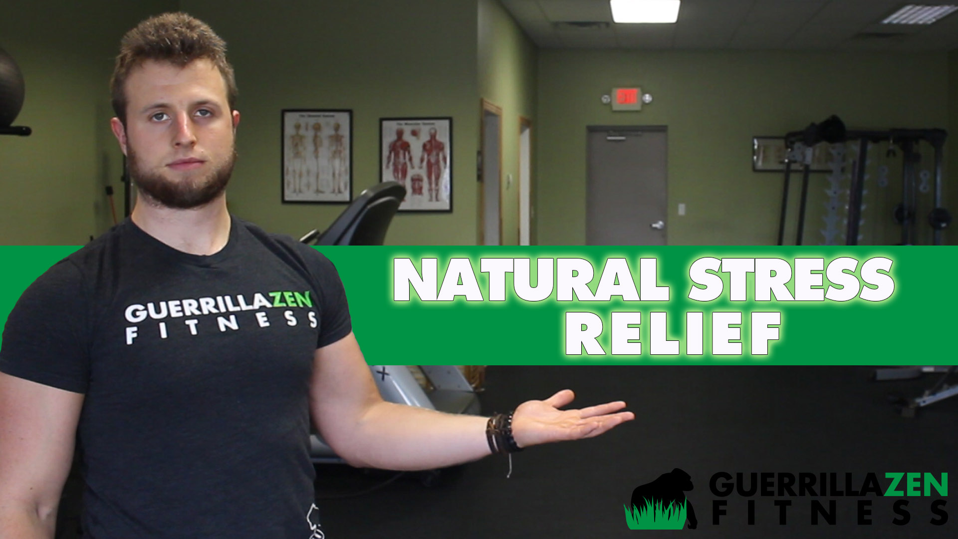 5 of the BEST Natural Stress Relievers