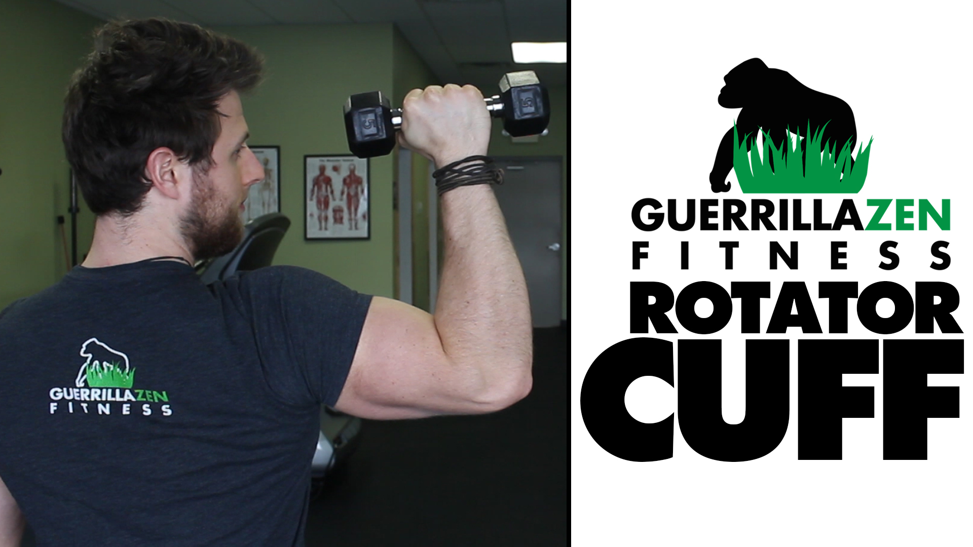 How to PROPERLY Strengthen The Rotator Cuff