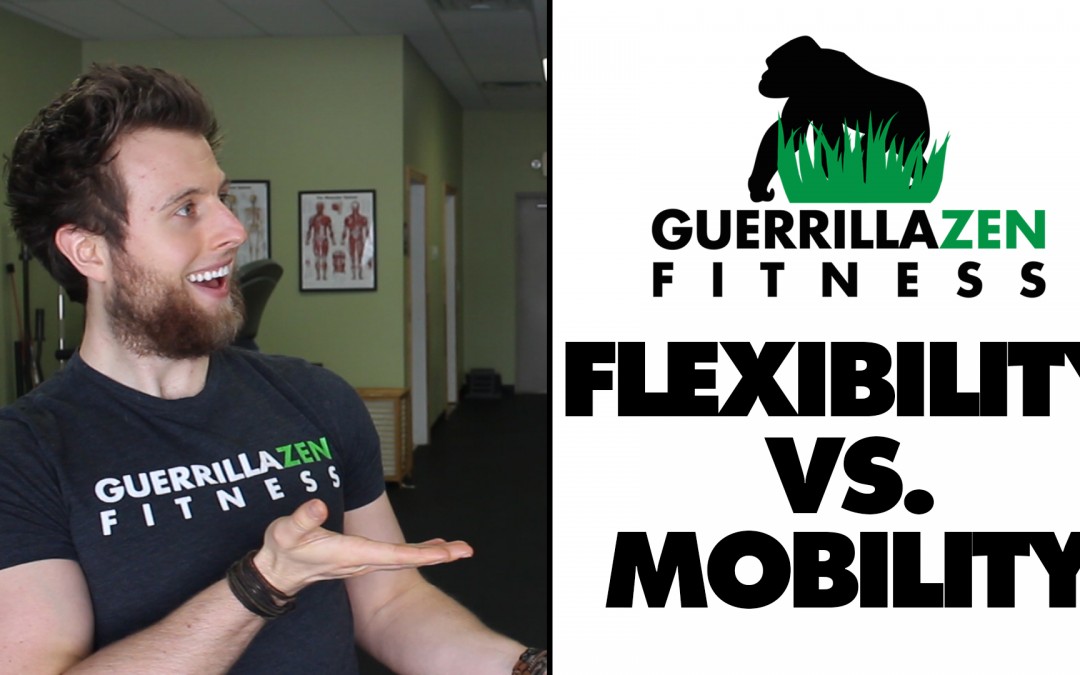 Flexibility vs Mobility | The Differences!