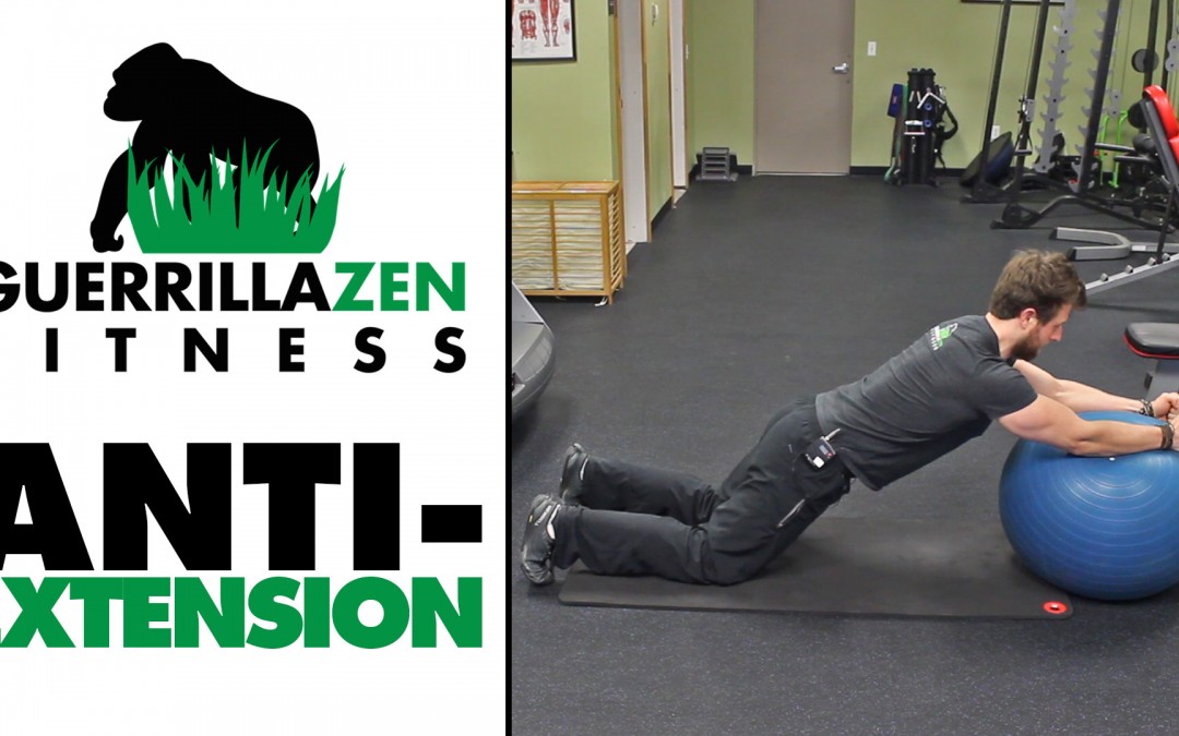 One of the BEST Functional Core Exercises EVER | Anti-extension