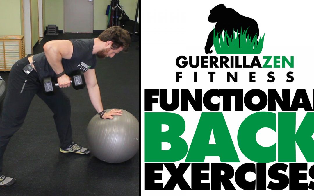 Functional Pulling Exercises | Unilateral Stability