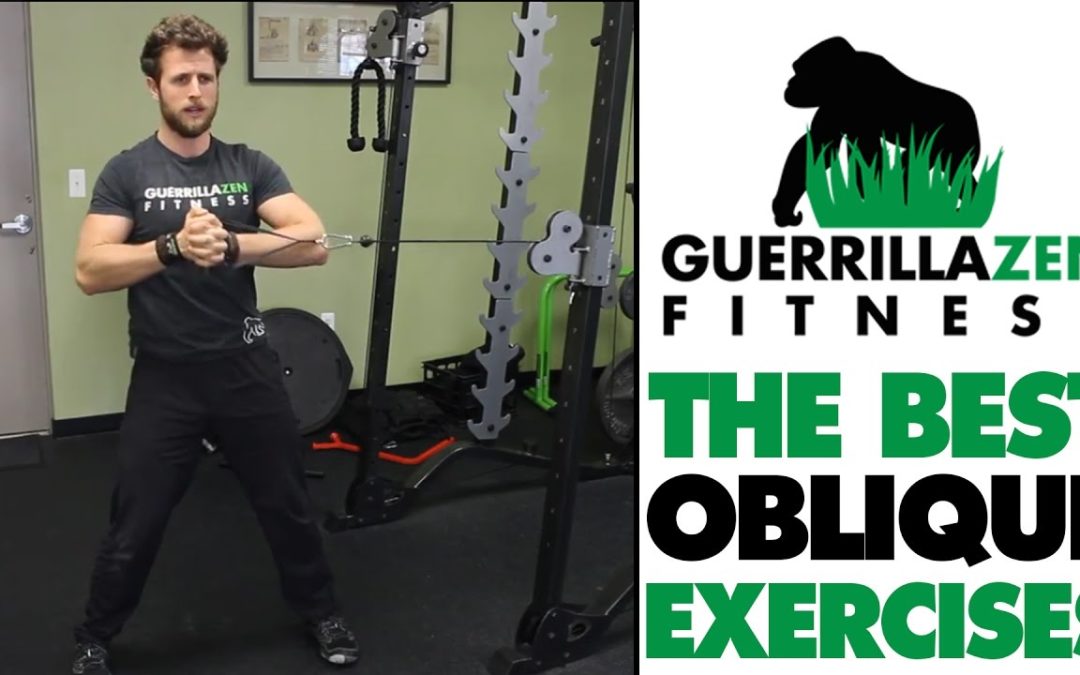 The Best OBLIQUE EXERCISES OF ALL TIME!