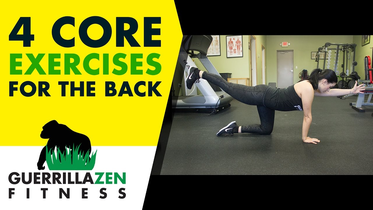 https://guerrillazen.com/wp-content/uploads/2017/03/Low-Back-Pain-4-ESSENTIAL-Core-Exercises-to-Protect-Your-Back.jpg