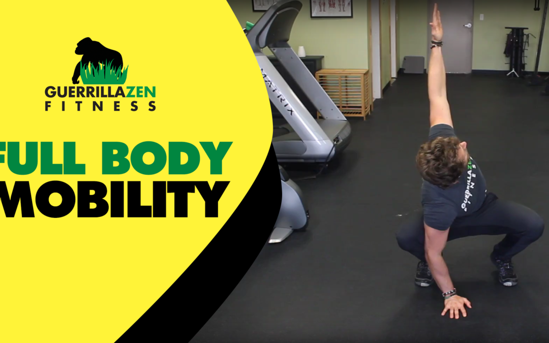 Full Body Mobility Routine | DO THIS AT HOME!