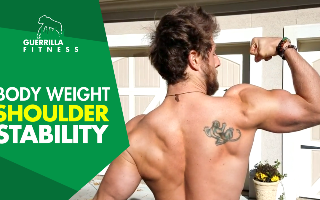 Body Weight Shoulder & Core Stability Exercise