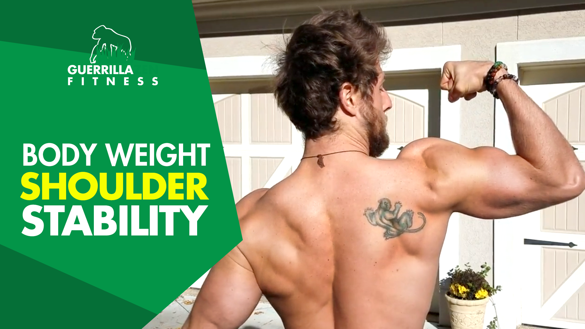 Body Weight Shoulder & Core Stability Exercise