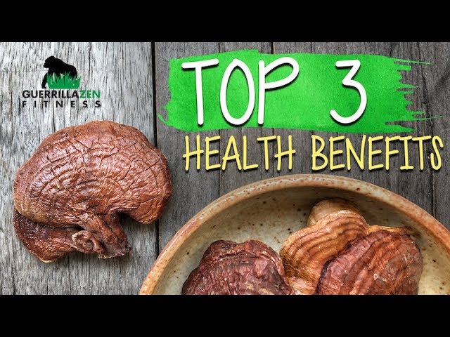 TOP 3 Health Benefits of Reishi Mushroom