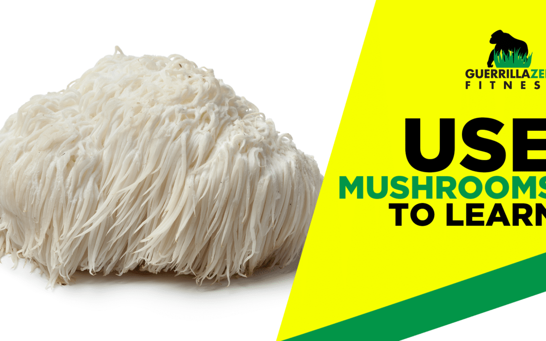 Reprogram Your Movement Patterns with Mushrooms | Lion’s Mane