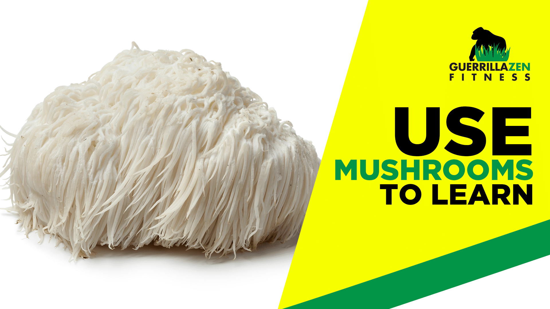 Reprogram Your Movement Patterns with Mushrooms | Lion’s Mane