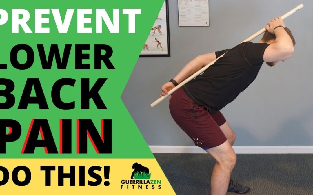 How to Move with Lower Back Pain | Use these to prevent it as well!