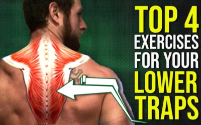 Top 4 Lower Trapezius Exercises for Better Shoulder Posture & Function