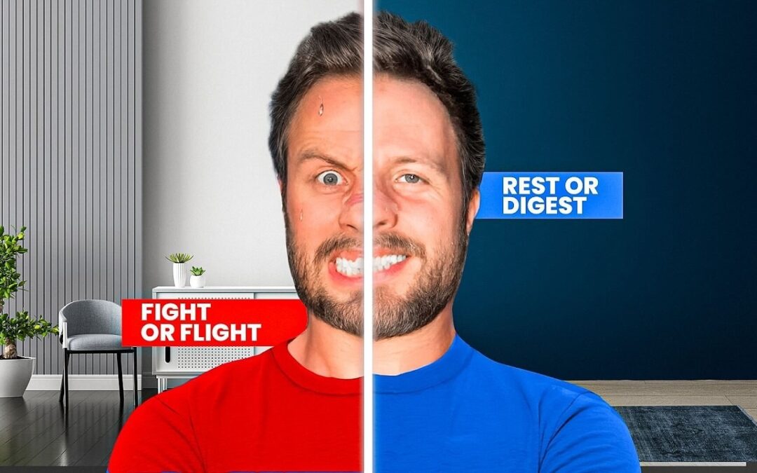 How to Turn OFF Stress Fight or Flight & Rebuild Your Body’s Balance